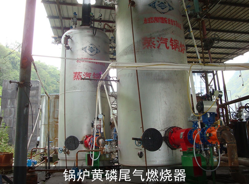 贵州尾气燃烧器