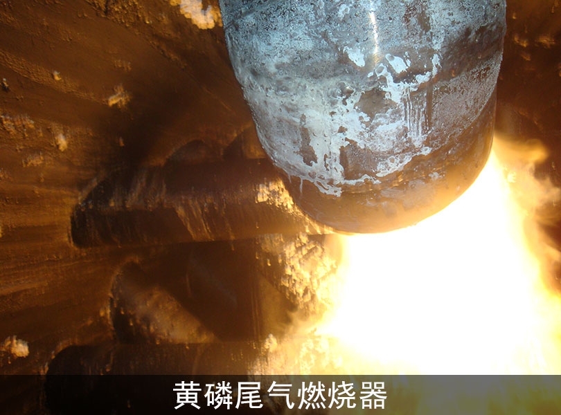 贵州尾气燃烧器